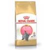Royal Canin British Shorthair Kitten - Sachetto da 400gr.