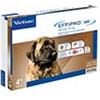 Virbac Effipro Duo per cani di taglia gigante - 4 pipette