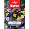 Blumen viola cornuta in miscuglio