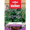 Blumen borragine