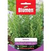 Blumen rosmarino