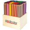 GIODICOLOR Matite Colorate Esagonali Giodicolor: 264 Pastelli in 12 Colori Vivaci