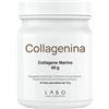 LABO INTERNATIONAL Srl Collagenina, Collagene Marino, 240 g