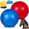 Sotiff 2 palline per cavalli da 101 cm per giocare, grandi palline da pastore per cavalli, anti-scoppio, gigante, giocattolo per cavalli, con pompa inclusa (blu e rosso, 100 cm)