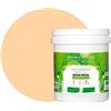 BOX DECO COULEURS Dipinto murale naturale ecologico aspetto opaco interno Natura - 1L, Beige Nude