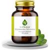 ERBEX essere e benessere ERBEX - Gimnema 430mg | 100 Capsule | Gymnema sylvestre con Estratto Titolato al 25% in Acido Gimnemico | Integratore per il Metabolismo dei Carboidrati | Controllo del Senso della Fame