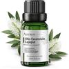 AMYRON Olio Essenziale Cajeputo 15 ml AMYRON | Melaleuca Cajuputi | Naturale E Puro Al 100% | Ideale Per Aromaterapia E Uso Terapeutico | Diffusore Oli Essenziali | Massaggi | Uso Alimentare Senza OGM.