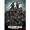 Cameo Media,S.L. The Walking Dead (8ª temporada) [4 DVDs]