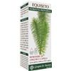 GIORGINI SER-VIS SRL EQUISETO ESTR INTEG 200ML