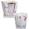 Dekohelden24 Candela profumata - Portacandela antivento - Candela in vetro - Set da 2 pezzi - Direzione del profumo Cotton, 8 x 8 x 8 cm, 115 g per candela, colore bianco