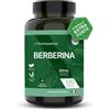 Nutriessence Berberina 500 mg per Capsula - Estratto da Berberis Aristata Titolato 85% in Berberina HCL Pura, 120 Capsule Vegane, 4 Mesi di Fornitura, Made in Italy, Vegan e Gluten Free