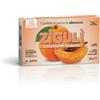 FALQUI PRODOTTI FARMAC. Srl Ziguli Albicocca 36 Palline 22g