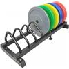 Blue Gym Rastrelliera per Dischi Bumper