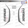 Adesivi motore marino fuoribordo Evinrude 300 cv G2 motore bianco-grigio barca