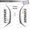 Adesivi motore marino fuoribordo Evinrude 225 cv G2 motore bianco-grigio barca