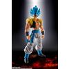 Bandai S.H. Figuarts Dragon Ball Super Broly Gogeta Super Saiyan God Super Saiya