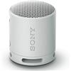 SONY CASSA BLUETOOTH SONY SRSXB100H