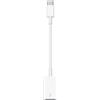 APPLE Adattatore da USB-C a USB