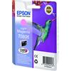 EPSON Cartuccia EPSON Colibrì (T0806) Magenta chiaro
