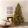 EDG_Enzo De Gasperi Albero di Natale Pino Argentato 6.500 Led H 270 Cm D 170 Cm