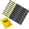 SabreCut 10 x SabreCut SCTP1089_10 89 mm T10 TX10 Torx Set di punte per cacciavite a impatto magnetico di sicurezza antimanomissione, resistenti, compatibili con Dewalt Milwaukee Bosch Makita e altro