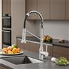 Leekayer Rubinetti per lavello da cucina professionali monocomando nichel spazzolato 1 foro montaggio contemporaneo Aggiungi sul pulsante Miscelatore lavello cucina Estrai Leekayer