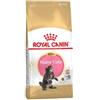 Royal Canin Kitten Maine Coon - Royal Canin - Kitten Maine Coon - 2KG