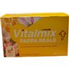MONTEFARMACO OTC SpA VITALMIX PAPPA REALE 10FLACONCINI X10 ML S/GL