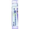 BOIRON Srl RHUS TOX BOI*30CH GR 4G