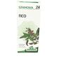 SPECCHIASOL Srl GEMMOSOL 24 FICO 50ML