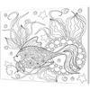 Pintcolor 7170.0 Telaio con Tela Stampata da Colorare, Legno di Abete/Cotone, Bianco/Nero, 50x40x3.5 cm , 100% Made in Italy