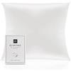 RUIPTSKE Federa per cuscino al 100% in seta da 22 momme, certificata Oeko-TEX®, benefica per i capelli e per la pelle, anti età e antiacaro, 60 x 60 cm (bianco)
