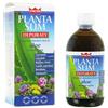 Winter Planta Slim Depuraty 500 Ml
