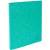 Exacompta 10 raccoglitori cartoncino lucido A4 2 anelli verde