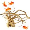 Generic Rami di legno naturale Driftwood, Acquario affondabile Driftwood, Tronco d'albero naturale Pianta Terrario Decorazione, Rami di legno massello Rettile Decorazioni per acquario, Ornamenti marini per