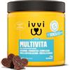ivvi Multivita per Cani Come bocconcino - scorta Completa con probiotici, vitamine del Gruppo B, Omega 3, cozza Verde, Mirtillo Rosso - 60 Snack (270 g) con Pollo