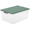 Rotho Contenitore compatto da 38 l con coperchio, in plastica (PP) senza BPA, turchese, A3/38 l (57,0 x 40,0 x 25,0 cm)