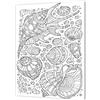 Pintcolor 7816.0 Telaio con Tela Stampata da Colorare, Legno di Abete; Cotone, Bianco/Nero, 40 x 50 x 3.5 cm , 100% Made in Italy