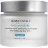 SKINCEUTICALS (L'Oreal Italia) DAILY MOISTURE 60ML