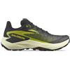 SALOMON GENESIS