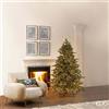 EDG_Enzo De Gasperi Albero di Natale Pino Argentato 3.000 Led H 180 Cm D 135 Cm