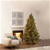 EDG_Enzo De Gasperi Albero di Natale Pino Argentato 4.000 Led H 210 Cm D 149 Cm