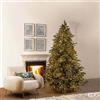 EDG_Enzo De Gasperi Albero di Natale Pino Argentato 5.000 Led H 240 Cm D 166 Cm