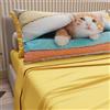 PETTI Artigiani Italiani - Lenzuola Animali con Gatti in Cotone con Federe in Stampa Digitale, Completo Letto Una Piazza e Mezza Giallo, 100% Made in Italy