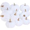 FiveMileBro 12 Pezzi zucche artificiali autunnali, set di decorazioni autunnali zucche, schiuma artificiale zucche, matrimonio autunnale halloween tavolo del ringraziamento decorazioni (B)