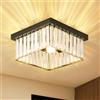 Cainjiazh 9.8" Lampadari di cristallo da soffitto Lampada da soffitto ad incasso E26 Quadrato Lampadario moderno di cristallo per soggiorno corridoio sala da pranzo camera da letto cucina (nero)