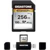GIGASTONE Scheda SD da 256 GB con lettore di schede USB tipo C V30 SDXC Scheda di memoria ad alta velocità 4K Ultra HD UHD Video compatibile con fotocamera digitale Canon, Sony, Panasonic