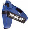 Julius K9 IDC Belt Harness Color & Gray Blu