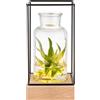 Gadgy Vaso in Vetro con Luce LED | Design Scandinavo con Base in Legno Naturale e Struttura in Metallo | Decorazione da Tavolo 22,5 x 10,8 cm | Vaso Illuminato per Fiori | Regalo Originale