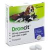 DRONCIT Cane/Gatto 2 COMPRESSE 50MG